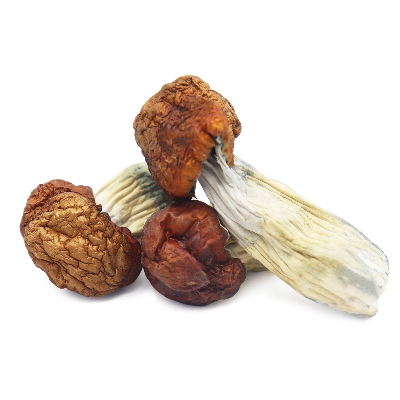 Blue Pulaski Magic Mushrooms For Sale USA