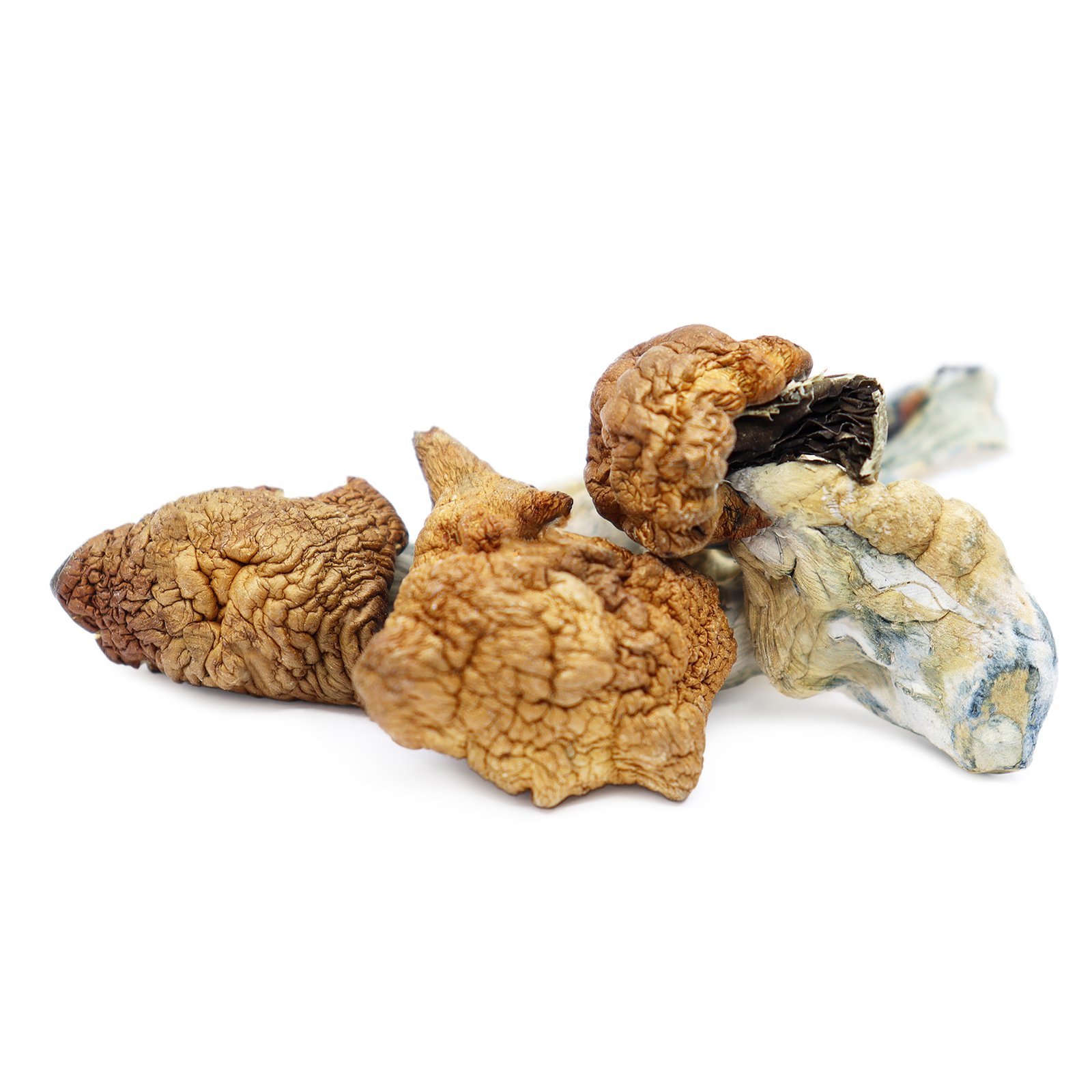 Koh Samui Magic Mushrooms For Sale In USA