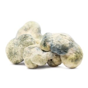Buy dried Leucistic Burma magic mushrooms for sale online Australia to experience potent spiritual relaxation. Buy light-coloured cluster Burmese sclerotia for sale online Australia for convenient microdosing benefits. Buy blue-bruised Leucistic Burma magic mushrooms for sale online Australia to enjoy natural aesthetic clarity.