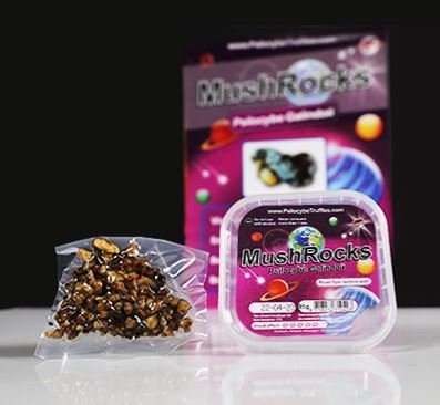 Buy fresh MushRocks magic truffles for sale online USA to experience a potent visual trip. Buy vacuum sealed MushRocks magic truffles for sale online USA to enjoy reliable quality. Buy branded MushRocks magic truffles for sale online USA to unlock deep introspection.