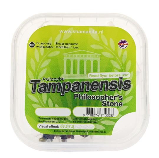 Buy Tampanensis Truffle for sale online Australia in a clear container for deep introspection. Buy Tampanensis Truffle for sale online Australia featuring a green label for easy identification. Buy Tampanensis Truffle for sale online Australia in a plastic tub for seamless storage.