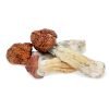 Tidal Wave Magic Mushrooms For Sale In USA Online