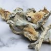 Treasure Coast Magic Mushrooms For Sale Online USA