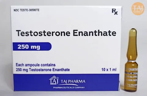Buy Taj Pharma Testosterone Enanthate 250mg box and glass ampoule for sale online USA to accelerate muscle recovery. Buy Taj Pharma Testosterone Enanthate 250mg ampoule for sale online USA to stabilise hormones and improve vitality. Buy Taj Pharma Testosterone Enanthate 250mg box for sale online USA to enhance physical performance and energy.