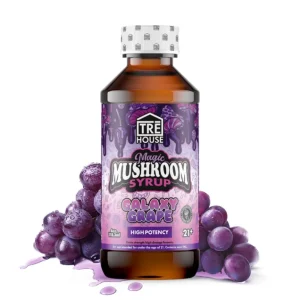 Buy Galaxy Grape magic mushroom syrup for sale online Australia to experience deep relaxation. Buy purple TRĒ House mushroom syrup for sale online Australia to easily elevate your mood. Buy grape magic mushroom syrup bottle for sale online Australia to unlock vibrant euphoria.