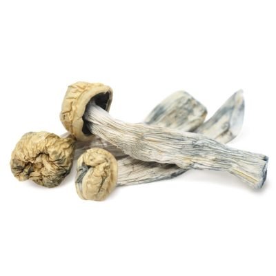 Yeti Magic Mushrooms For Sale In USA