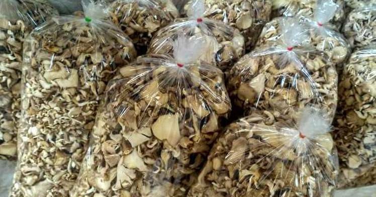 Buy dried sliced mushroom packs for sale online Australia to enjoy easy gourmet cooking. Buy clear plastic mushroom bags for sale online Australia to retain fresh earthy flavour. Buy sliced dried mushroom columns for sale online Australia to save pantry storage space.